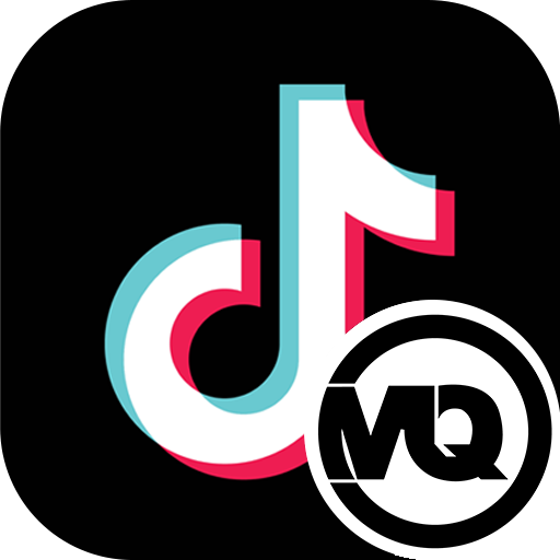 TikTok账号批量检测工具