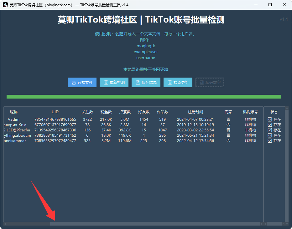 TikTok账号批量检测工具