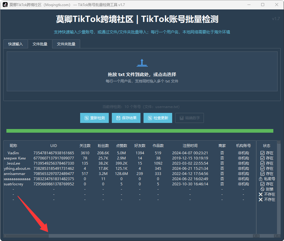 TikTok账号批量检测工具