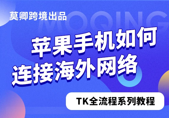 苹果手机如何连接海外网络